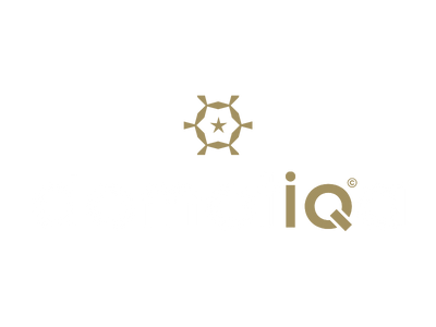 Domotiqa nieuw logo wit